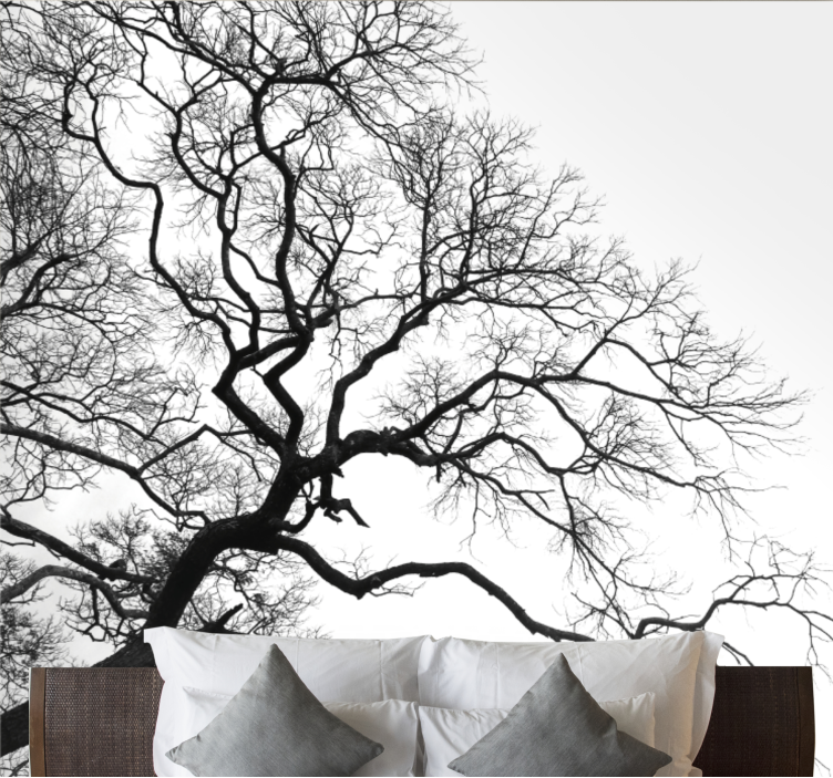 Single wood branch rupture Abstract Wall Murals - TenStickers