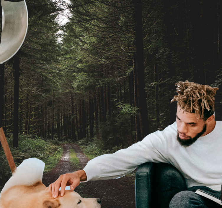 Street through a dark forest Wall Mural - TenStickers