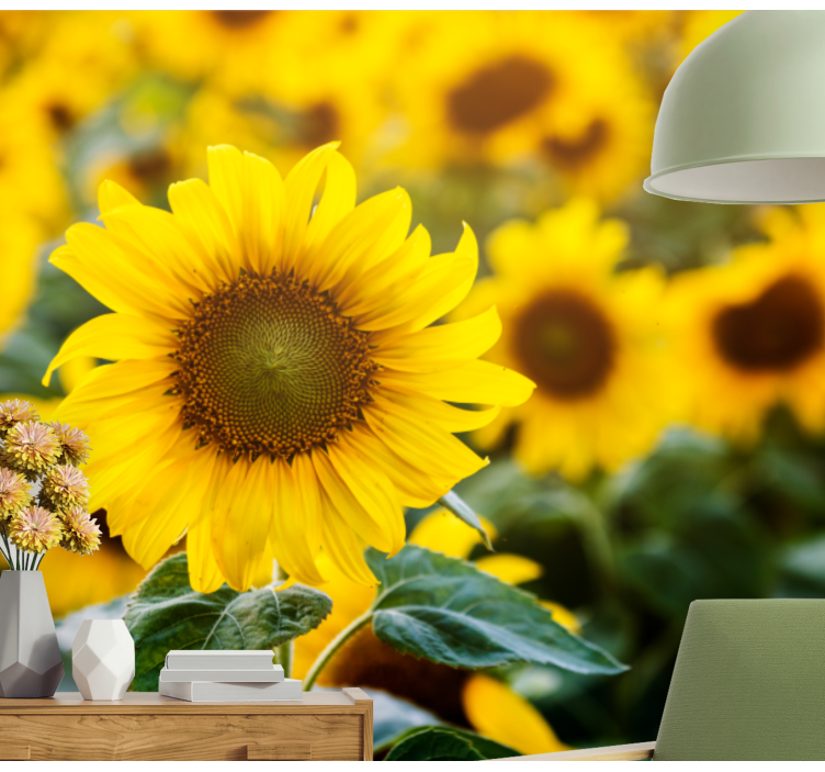 Sun flower field close up wall mural - TenStickers