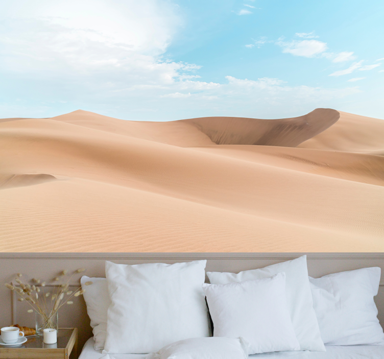 Sunrise in Desert Wall Mural - TenStickers