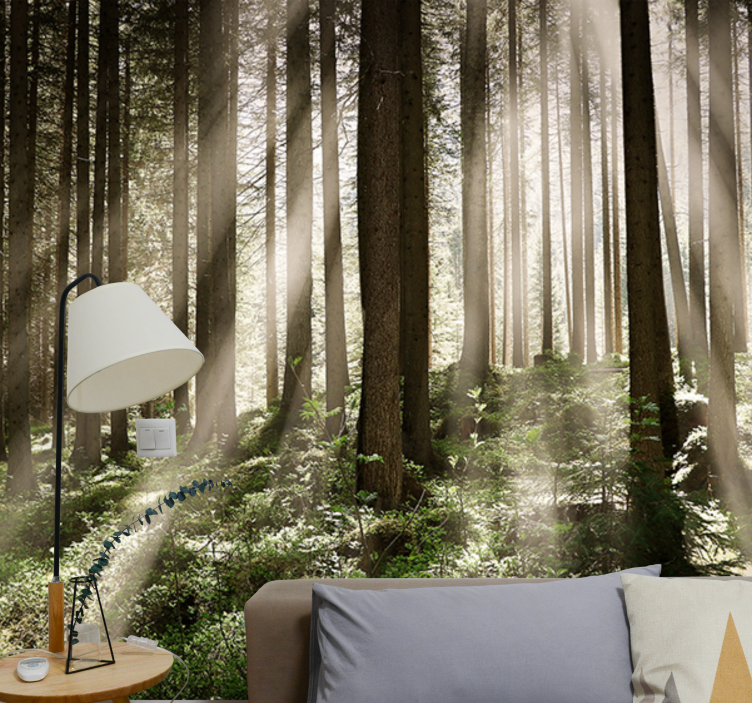 Tall trees with the sun behind Wall Mural - TenStickers