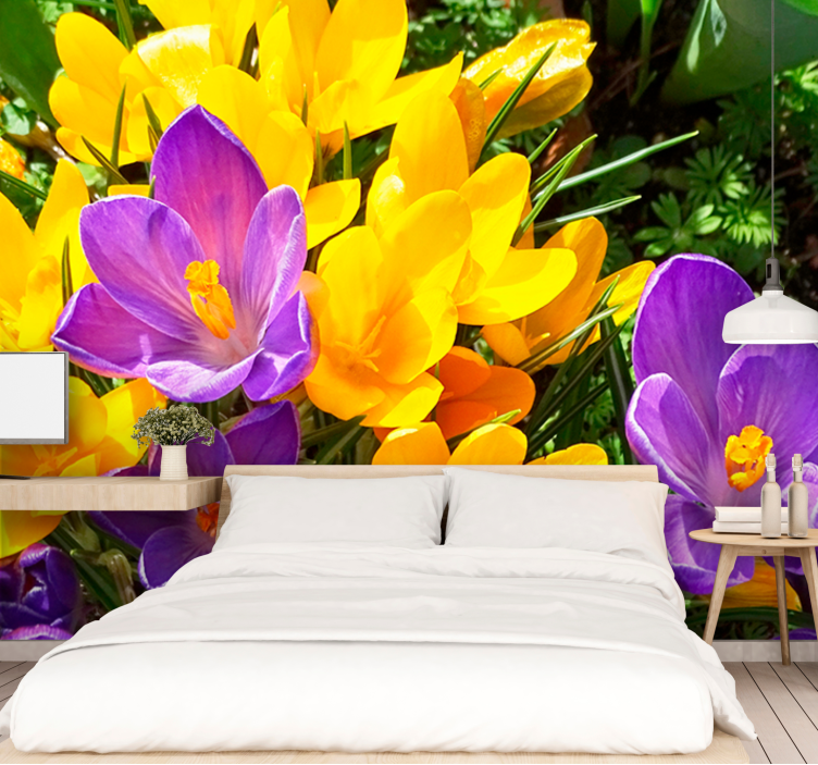 Wild purple and yellow crocus  wall mural - TenStickers