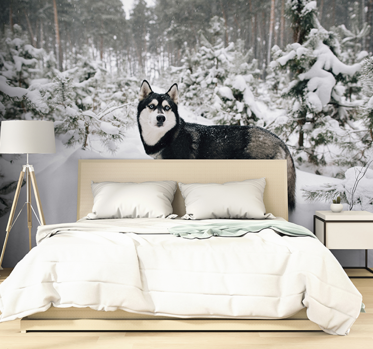 Winter forest and husky dog wall mural - TenStickers