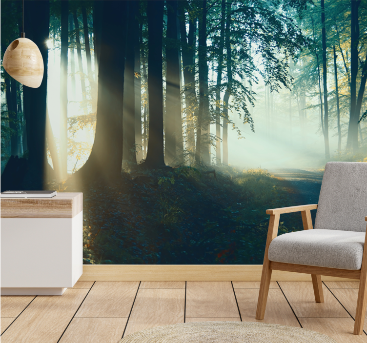 Winter sunset Forest Wall Mural - TenStickers