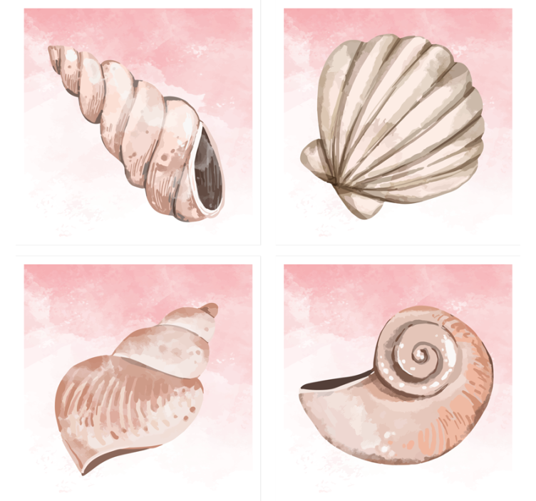 seashells watercolor shell coaster - TenStickers