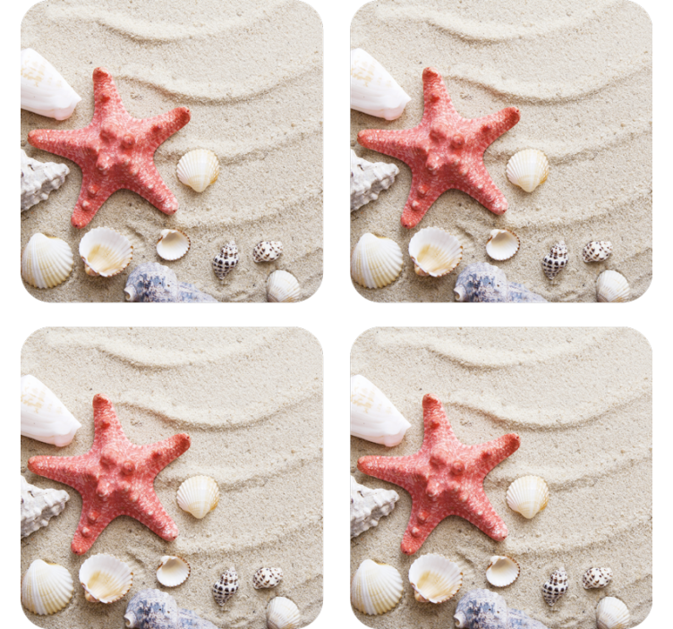 Modern coasters with starfish and seashell design - TenStickers