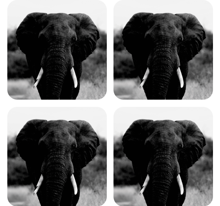 B&W elephant head  modern coaster - TenStickers