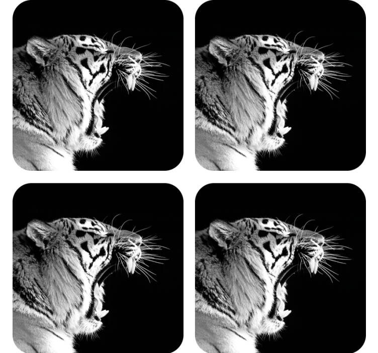 Geek coasters majestic tiger profile - TenStickers