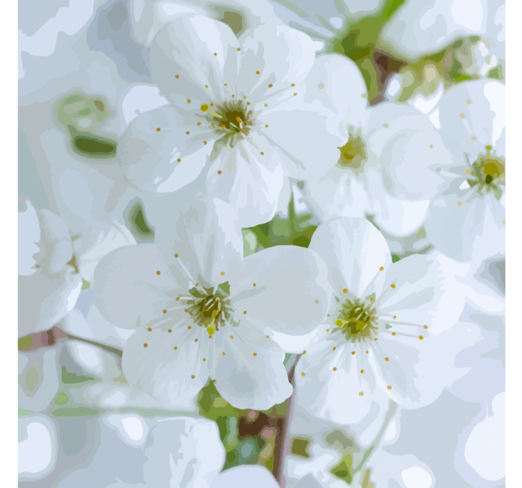 Coasters with delicate cherry blossoms design - TenStickers