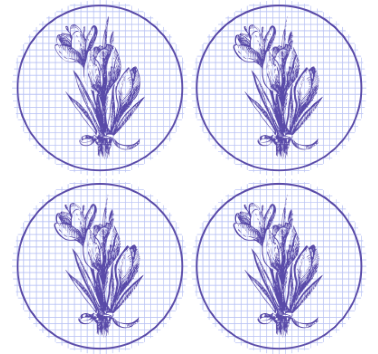 Coasters with elegant botanical illustration - TenStickers