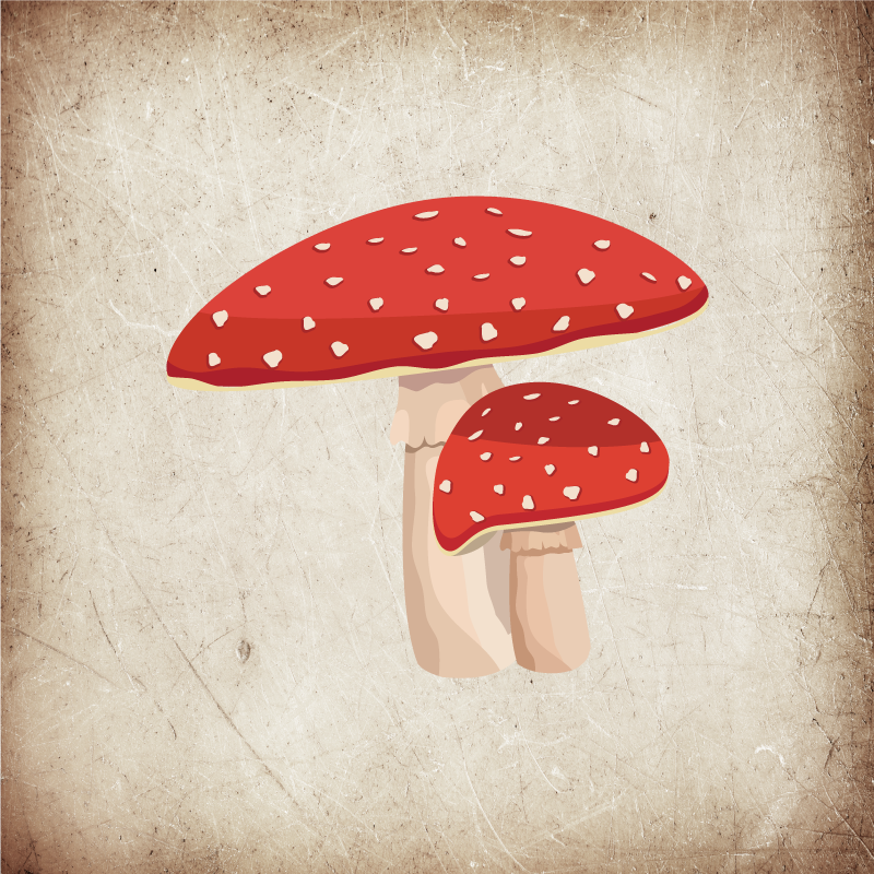 Kitchen poster amanita mushroom illustration - TenStickers