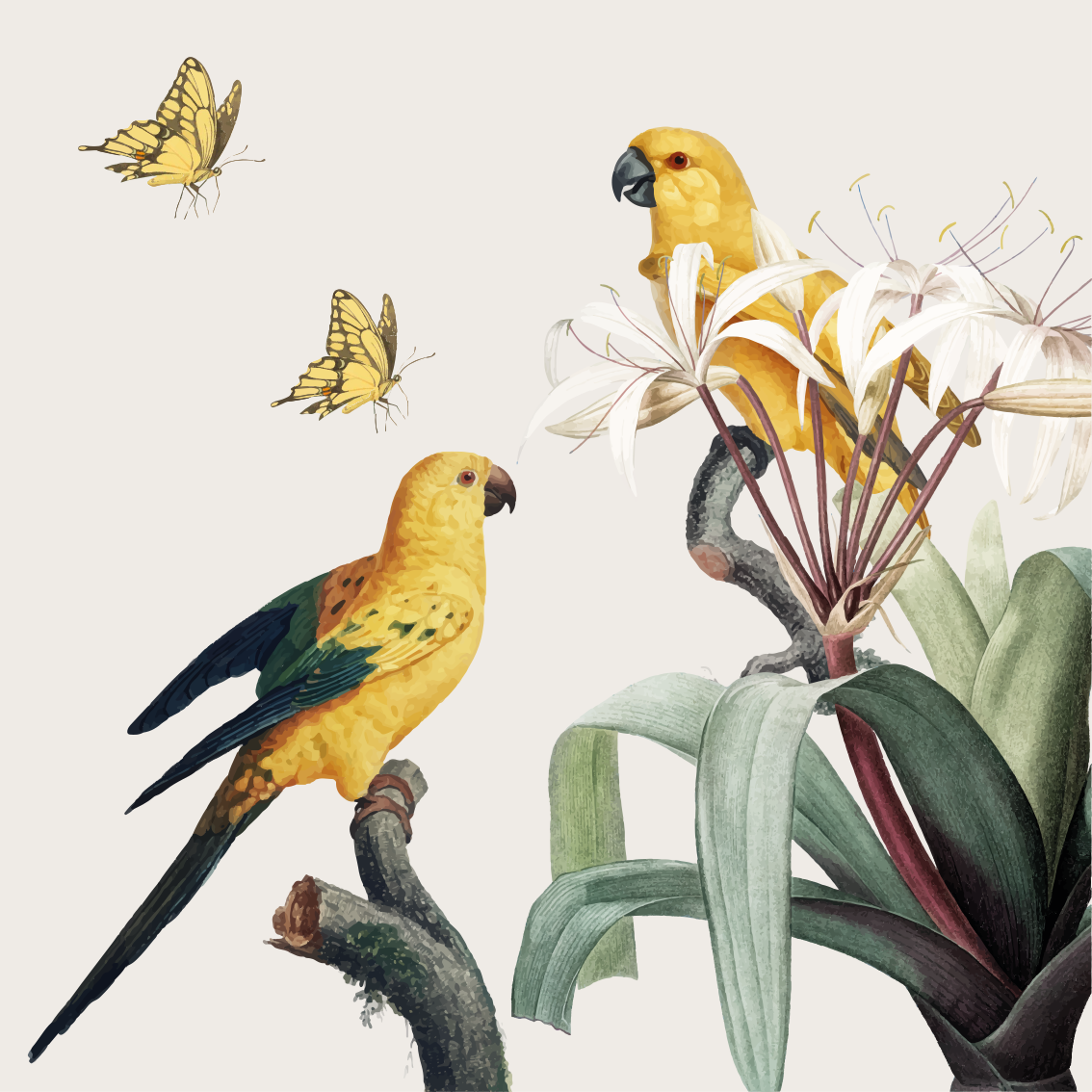 Living room poster of parrots, yellow flowers, butterflies - TenStickers