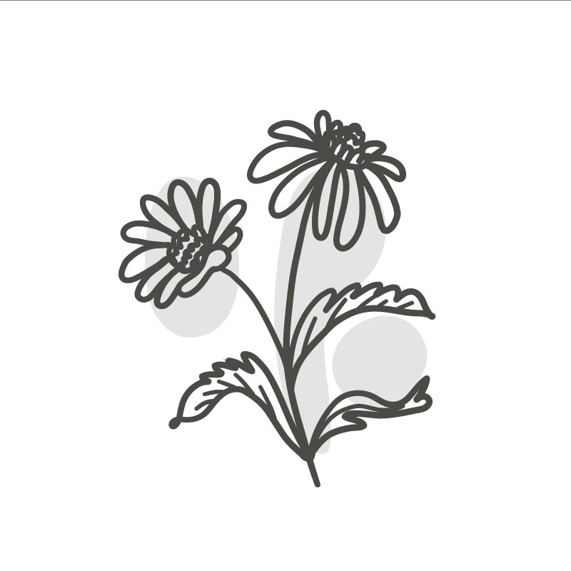 Living room poster of daisy flower line art design - TenStickers