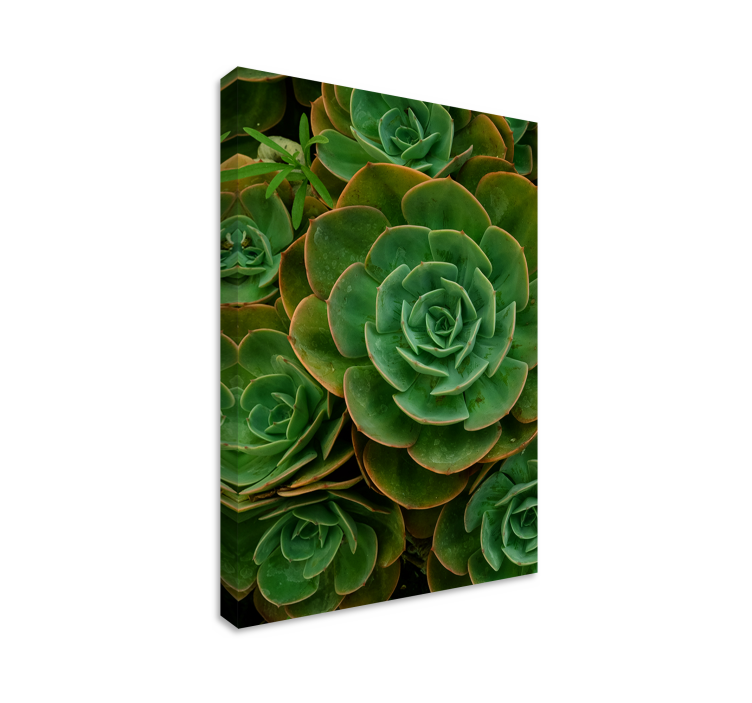 Cactus design flower canvas print - TenStickers