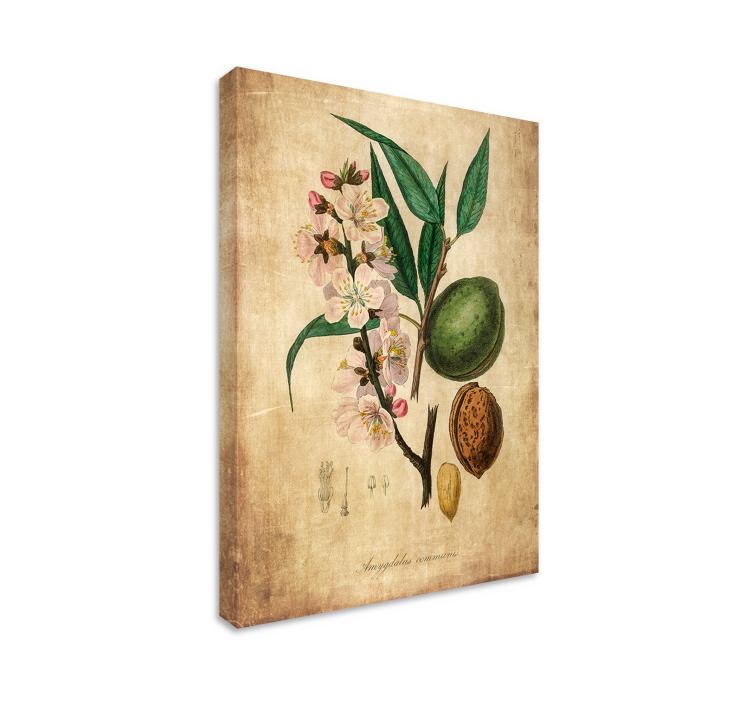 Almond canvas wall art for Master Bedroom - TenStickers