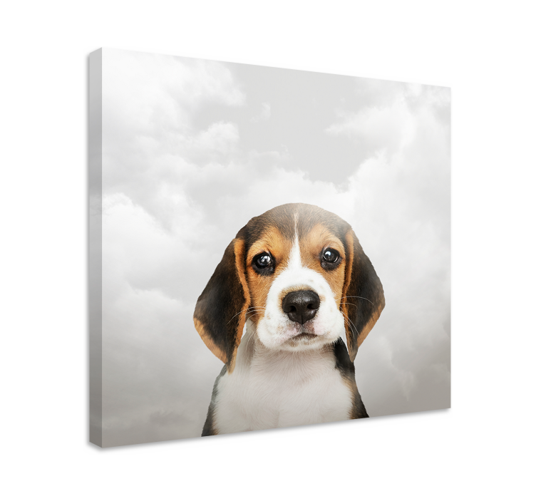 Sad dog with clouds canvas prints - TenStickers