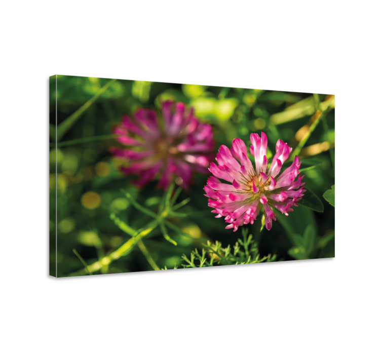 Flowers canvas pink flower cluster - TenStickers