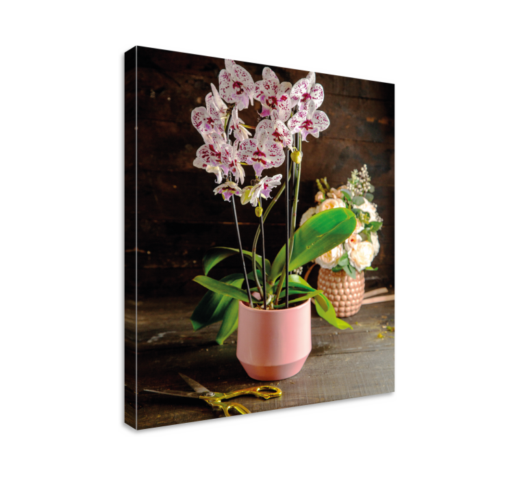 Orchid flower in pot flower canvas - TenStickers