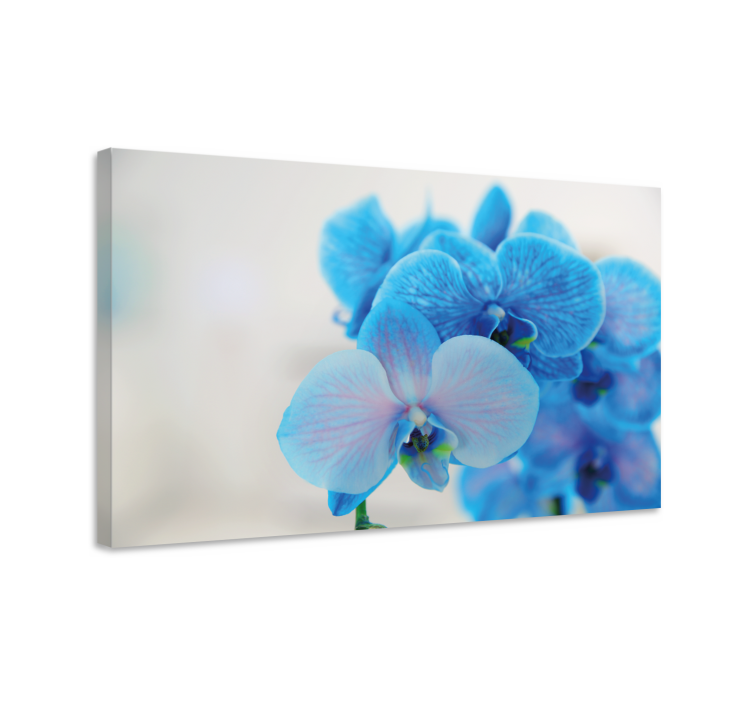 Flowers canvas blue orchid blossoms - TenStickers