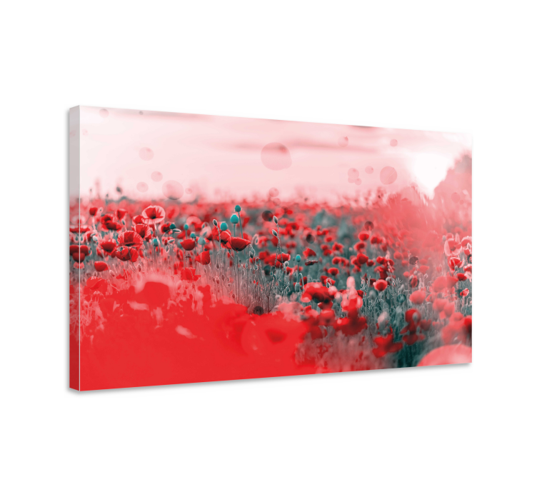 Flower canvas lively poppy meadow - TenStickers