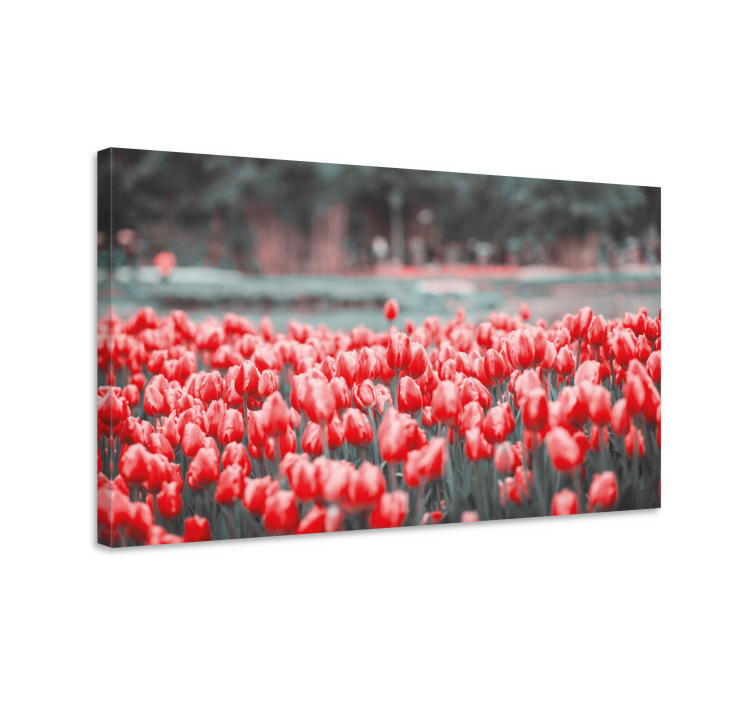 Different pink tulip field flower canvas - TenStickers