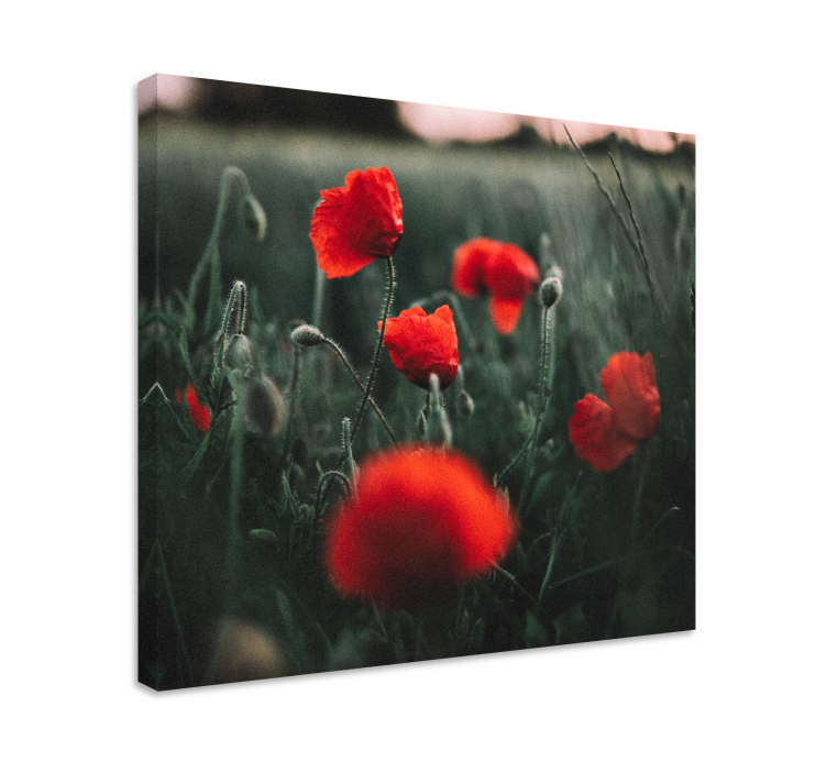 Flowers canvas vivid poppy blooms - TenStickers