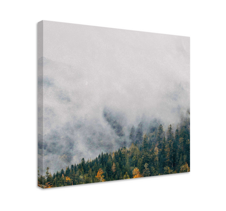 Forest with fog from above landscape canvas - TenStickers