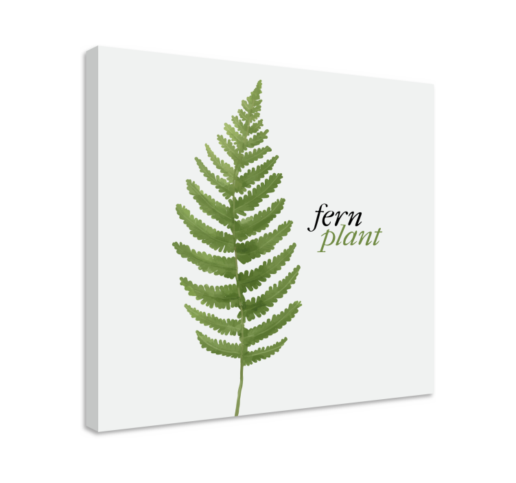 Flowers canvas fern plant illustration - TenStickers