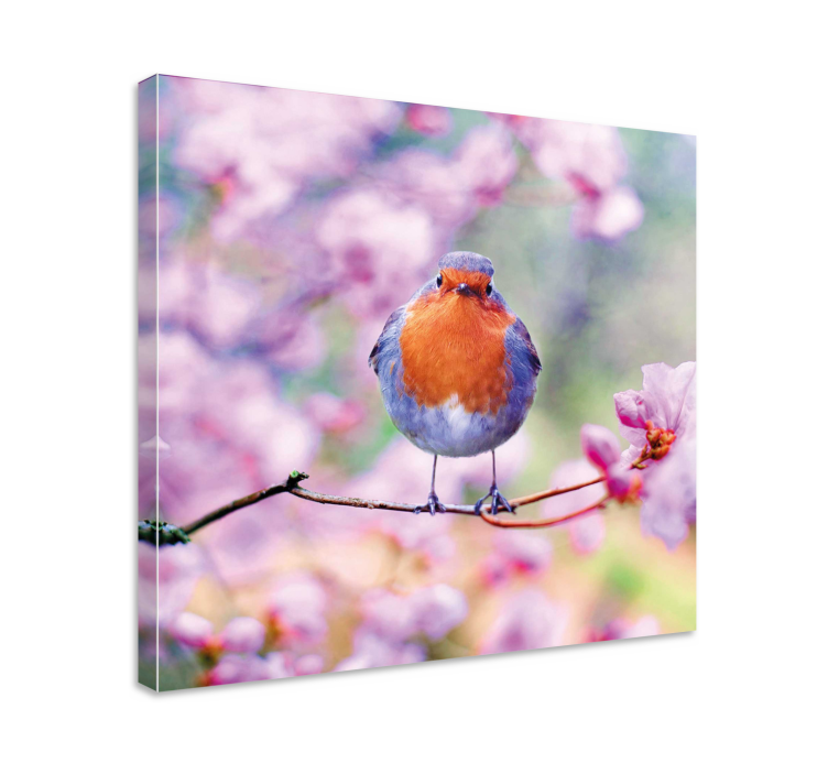 Bird canvas wall art charming robin perched - TenStickers