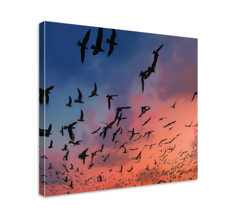Birds flying in the sky flower canvas - TenStickers