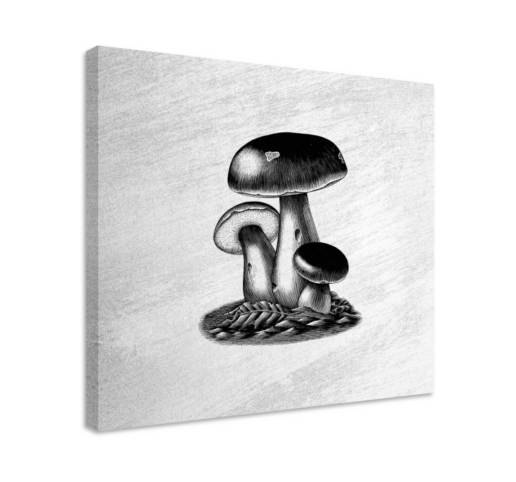 Antique engraving of mushrooms kitchen print - TenStickers