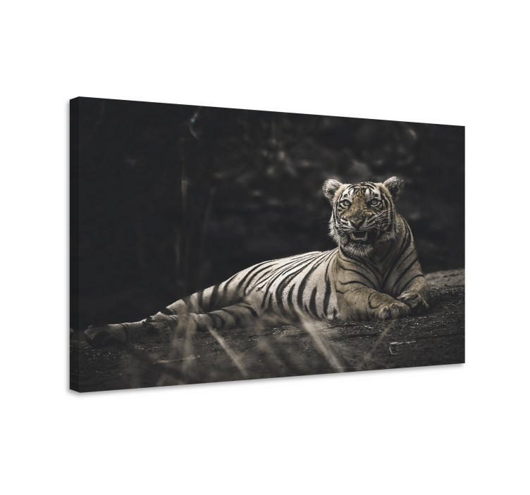 Animal canvas wall art majestic tiger resting - TenStickers