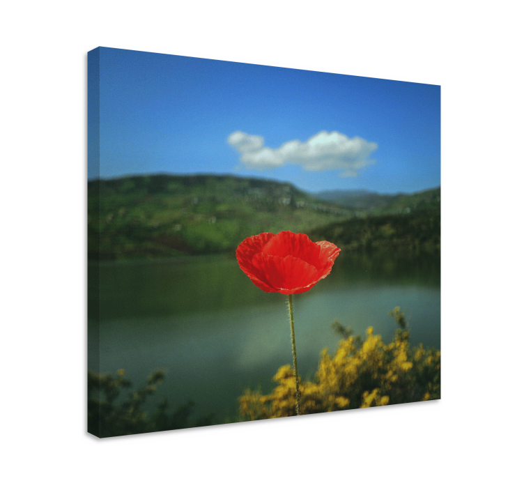 Red poppies with the sky flower canvas - TenStickers