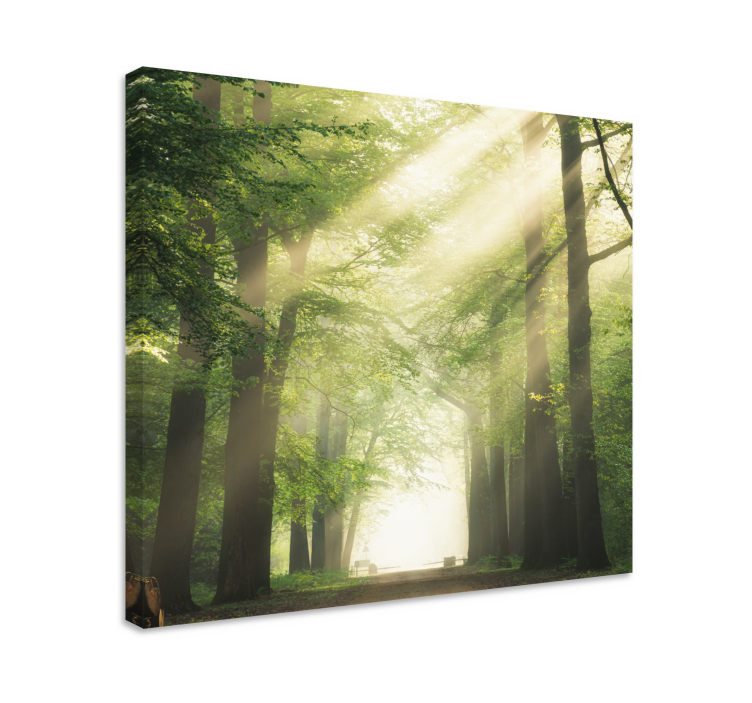 Misty forest path tree canvas wall art - TenStickers