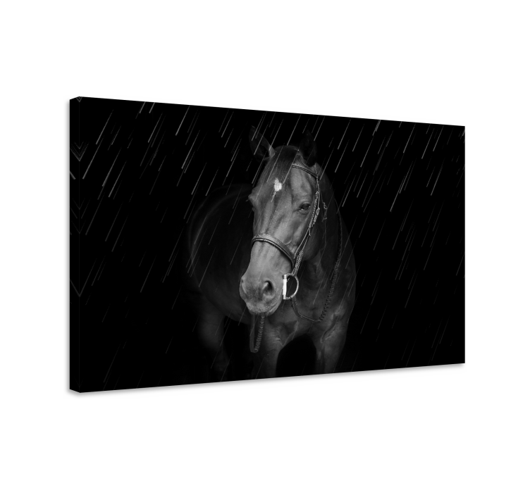 Horse wall art majestic black horse print - TenStickers