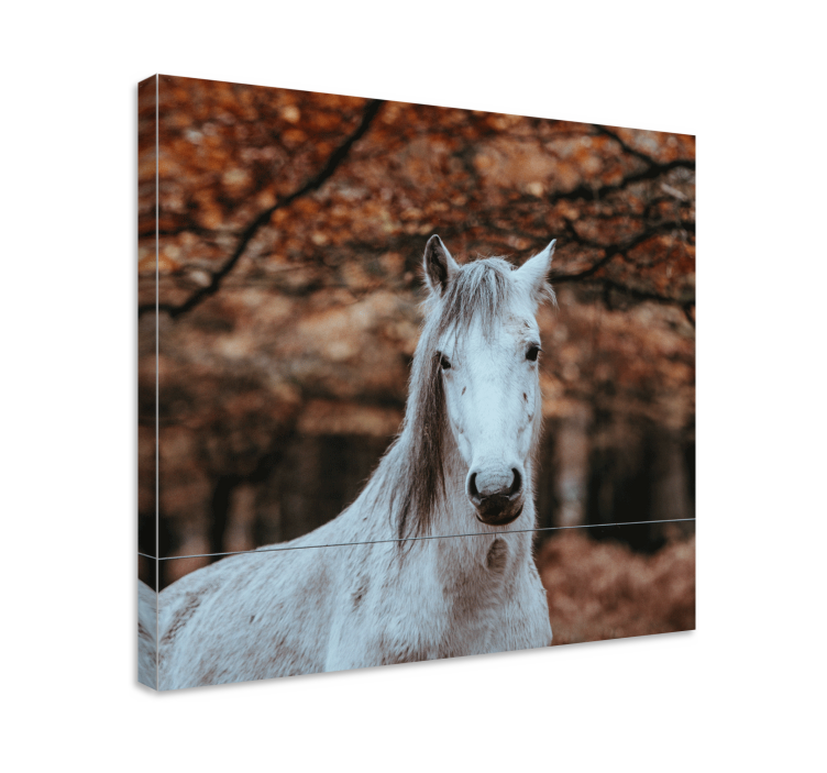Autumn bokeh horse canvas - TenStickers