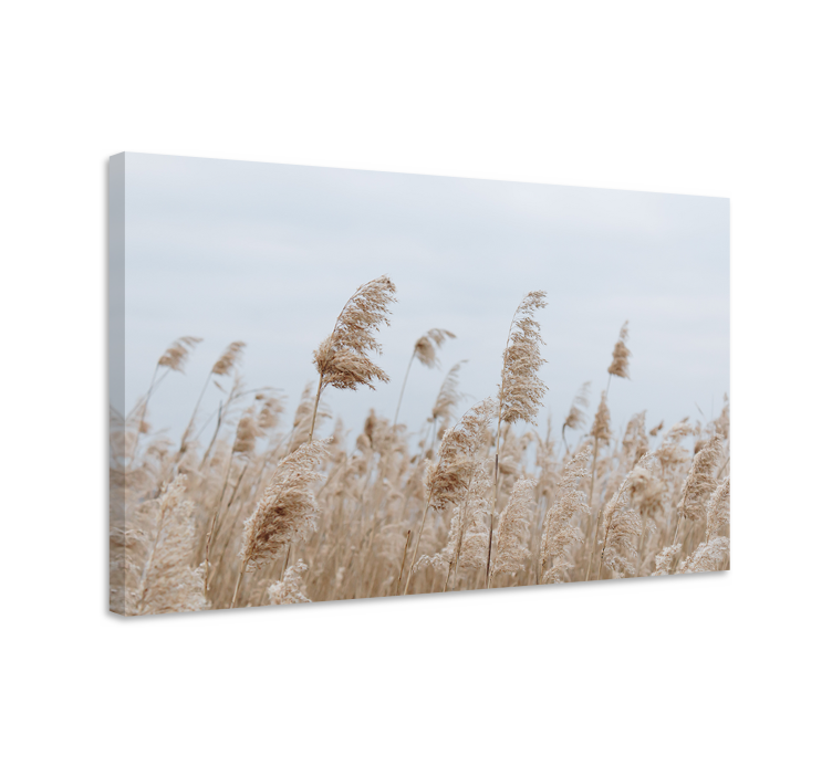 Flowers canvas gentle meadow whispers - TenStickers
