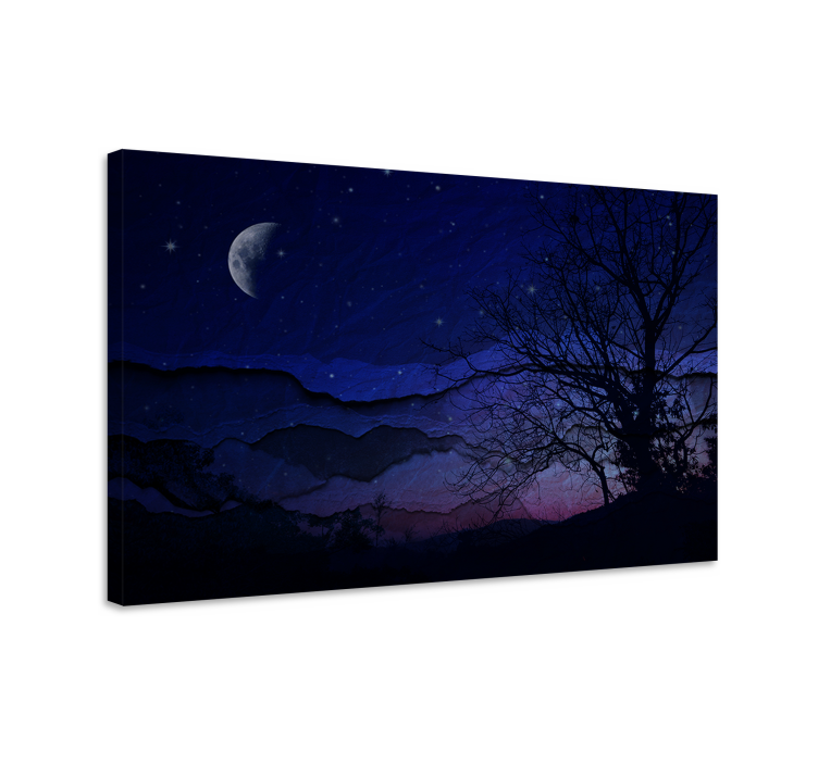 Landscape canvas night sky calm - TenStickers