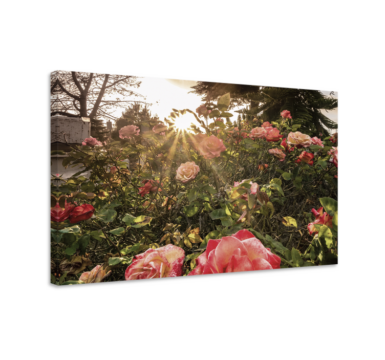 Flowers canvas radiant rose blossoms - TenStickers