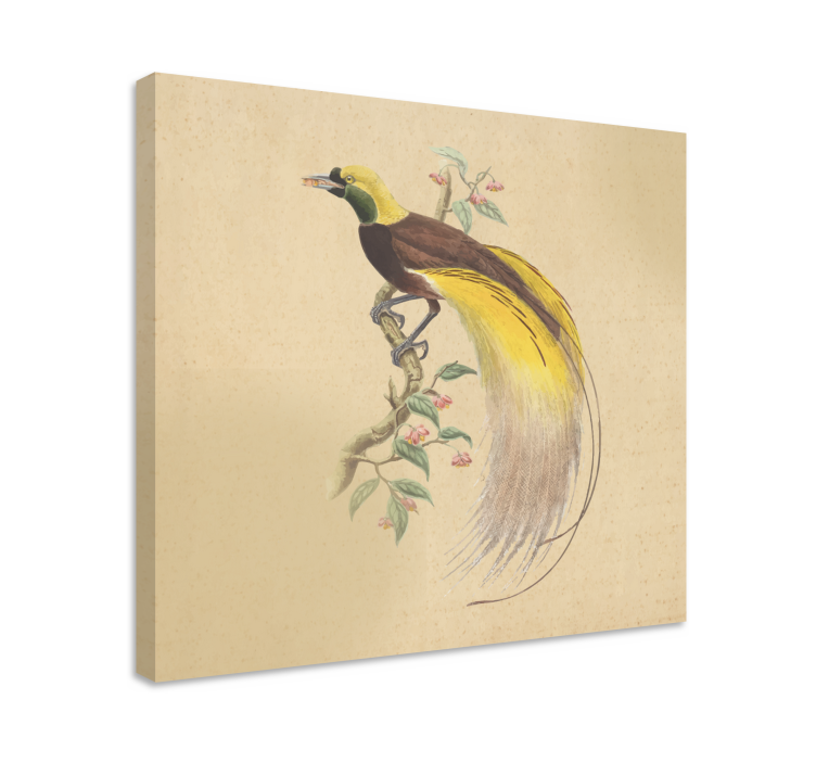 Vintage painting with yellow bird retro canvas - TenStickers