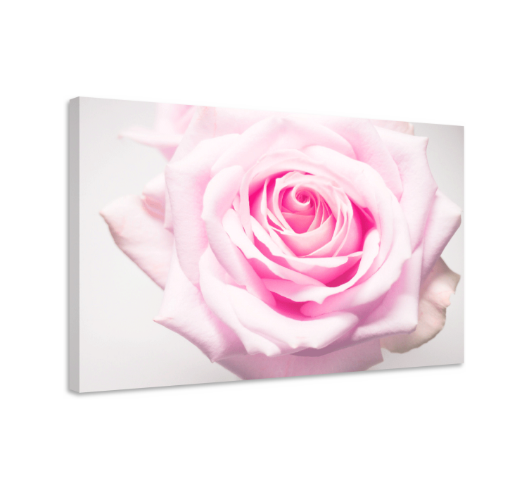 Elegant big pink rose design flower canvas - TenStickers