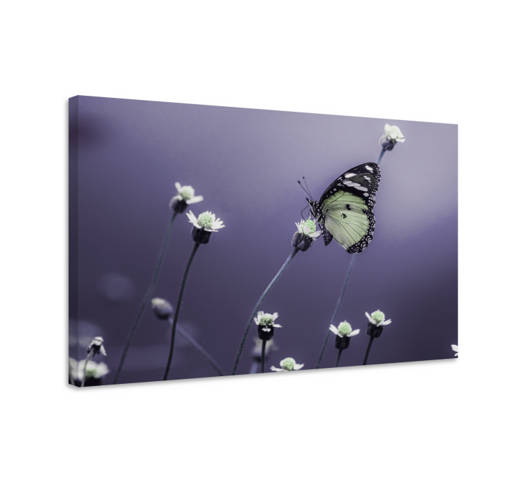 Elegant butterfly flower butterfly canvas - TenStickers
