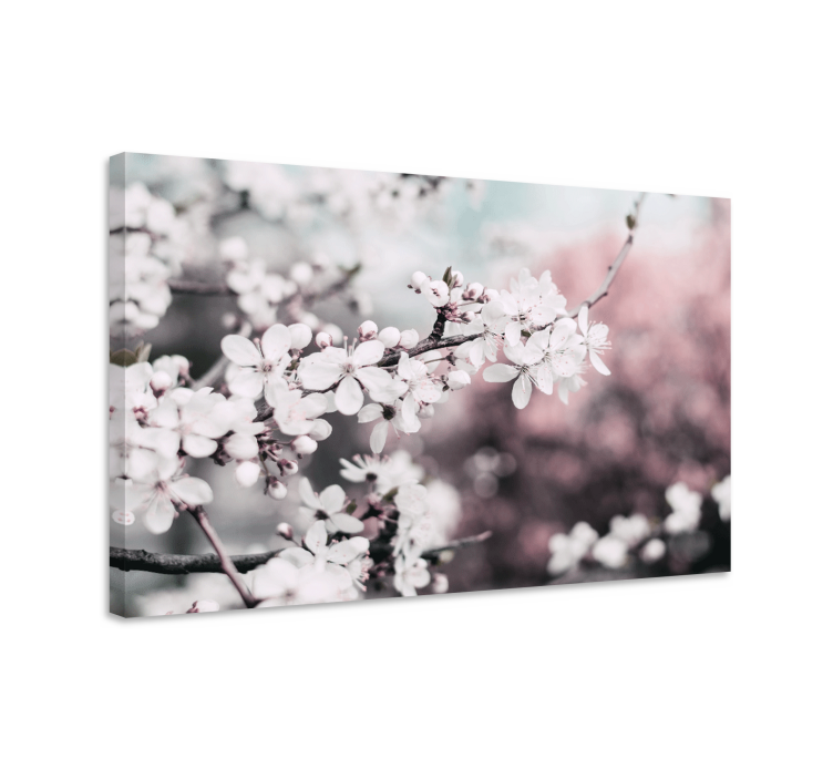Feminine white cherry blossoms flower canvas - TenStickers