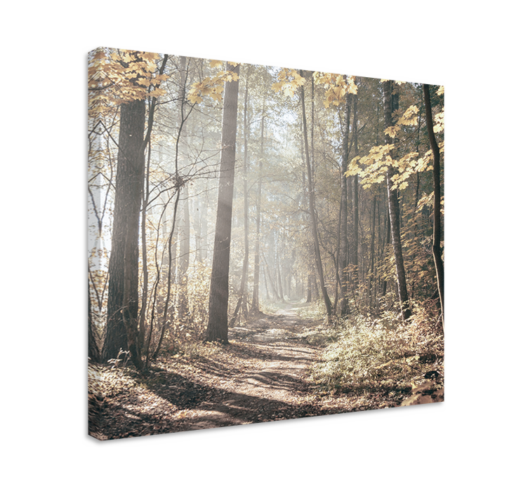 Landscape canvas misty pathway - TenStickers