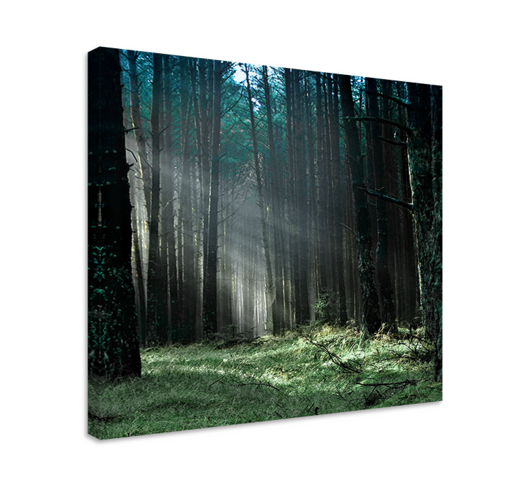 "Nature" Blue fog forest Tree wall canvas - TenStickers