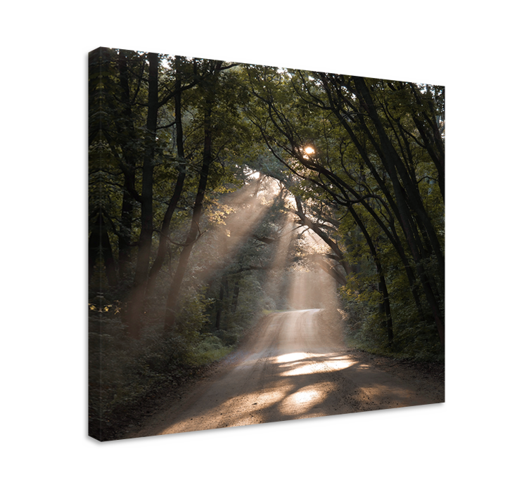 Nature dirt road in the forest Tree wall canvas - TenStickers