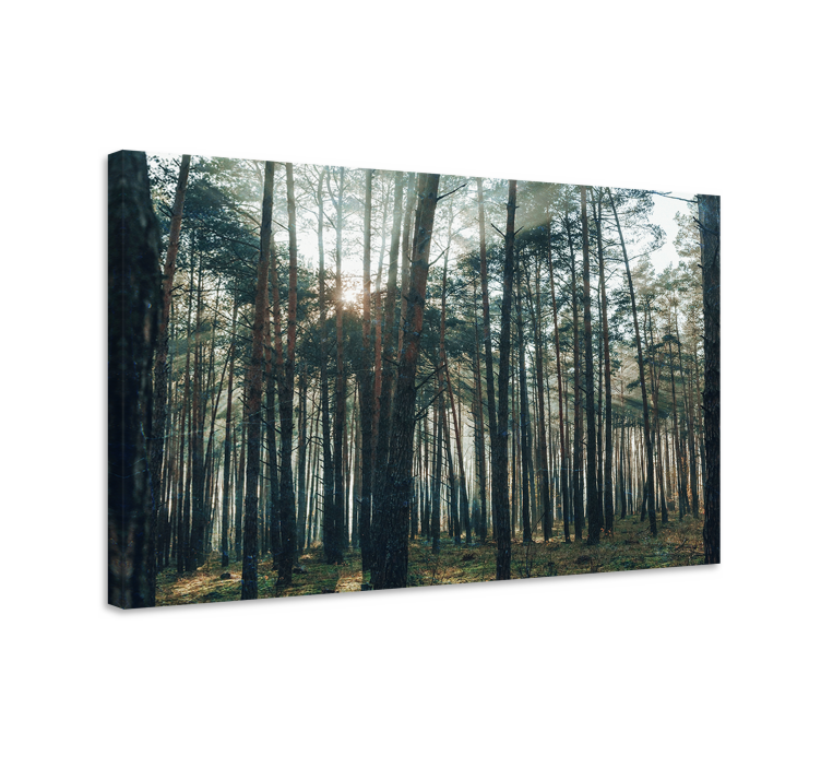Pinewood forest design landscape canvas - TenStickers