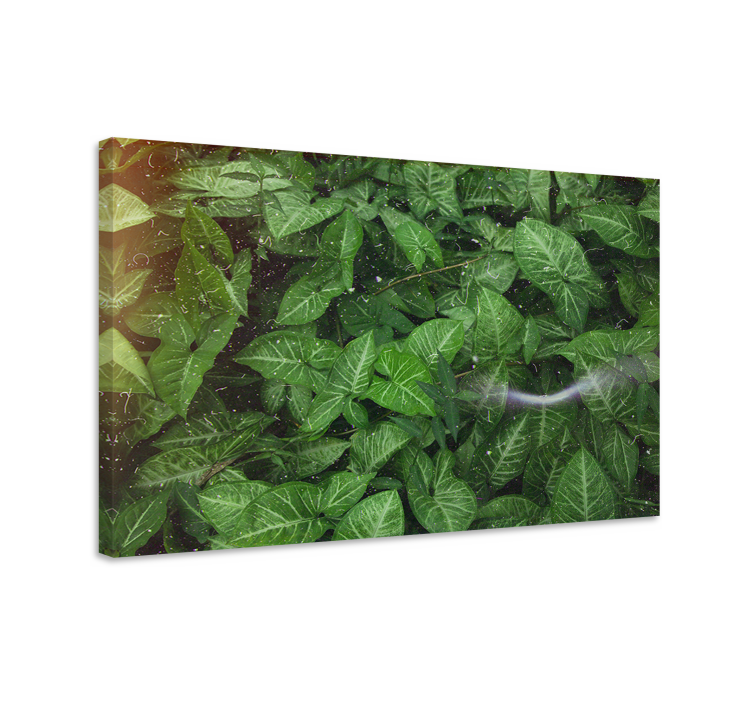 Flowers canvas vibrant green leaves canvas - TenStickers