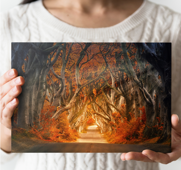 Beautiful view forest road landscape canvas - TenStickers