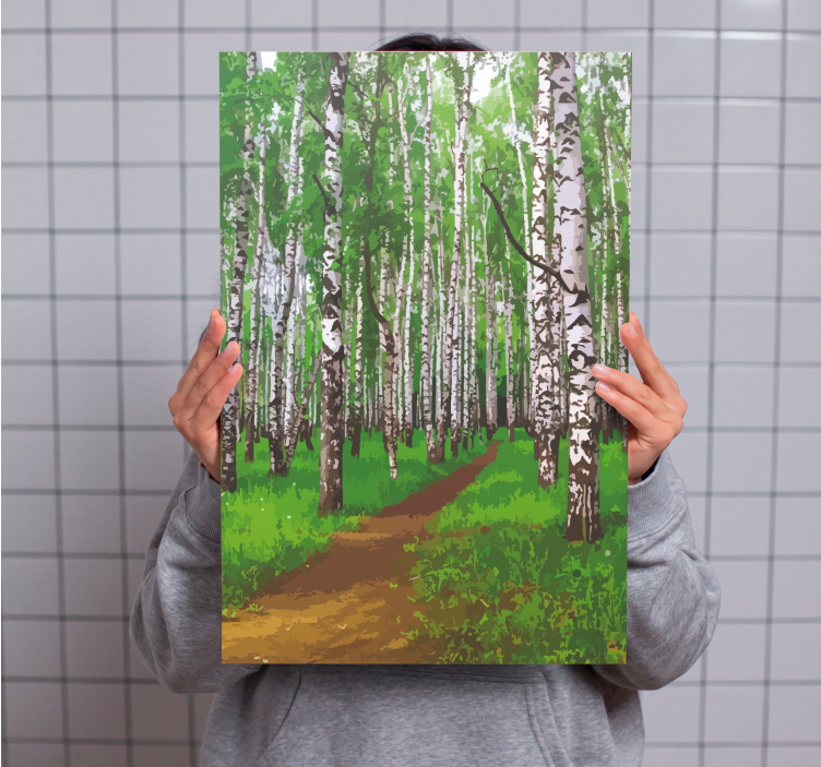 Birch trees forest with the sunlight canvas - TenStickers